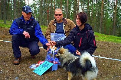 Voittajakoira 2012